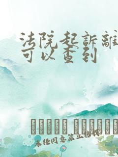 法院起诉离婚哪可以查到