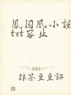 凤囚凰小说原著txt容止