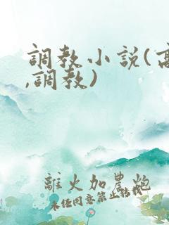 调教小说(高h,调教)