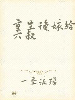 重生后嫁给前夫六叔