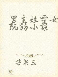 男主姓霍女主姓阮的小说