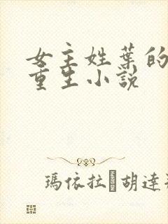 女主姓叶的末世重生小说