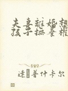 夫妻离婚想要回孩子抚养权