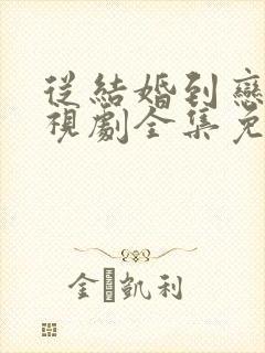 从结婚到恋爱电视剧全集免费观看