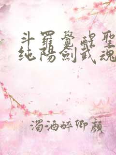 斗罗觉醒圣主和纯阳剑武魂