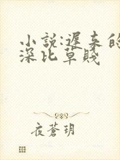 小说:迟来的情深比草贱