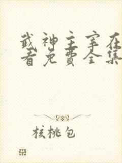 武神主宰在线观看免费全集高清