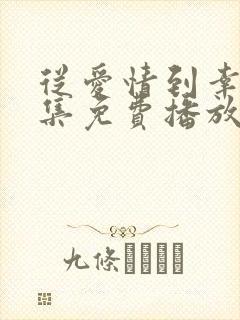 从爱情到幸福全集免费播放在线观看