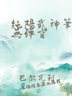 纯阳武神笔趣阁无弹窗
