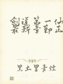 剑道第一仙苏奕最新章节正版