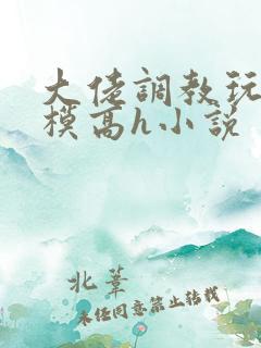 大佬调教玩弄嫩模高h小说