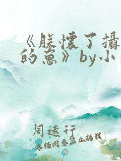 《朕怀了摄政王的崽》by小文旦