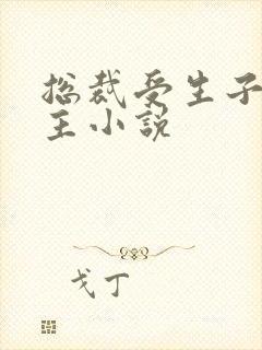 总裁受生子双男主小说