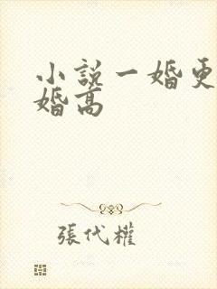 小说一婚更比一婚高