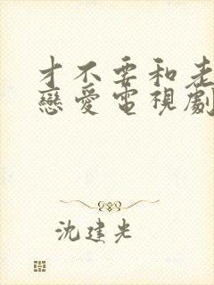 才不要和老板谈恋爱电视剧剧情