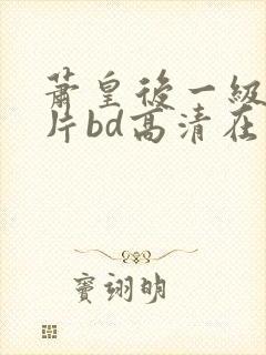 萧皇后一级艳史片bd高清在线观看