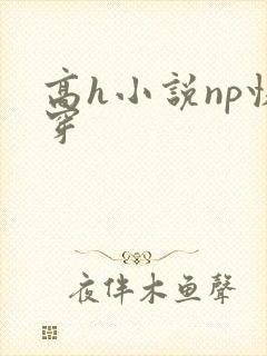 高h小说np快穿