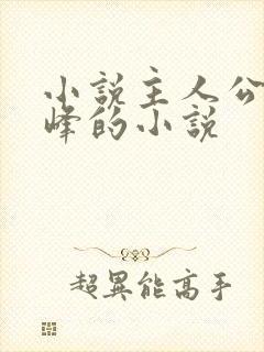 小说主人公叫林峰的小说