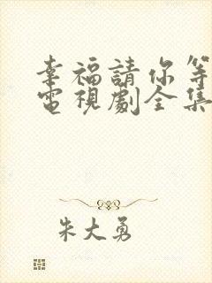 幸福请你等等我电视剧全集免费观看