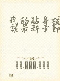 我的贴身校花小说最新章节列