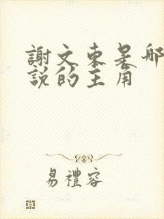 谢文东是哪部小说的主角