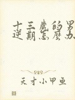 十三岁的男孩叛逆期怎么办