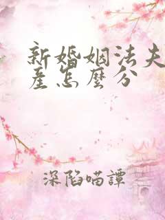 新婚姻法夫妻财产怎么分