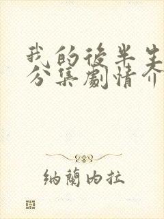 我的后半生剧情分集剧情介绍