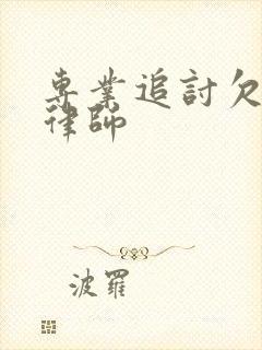 专业追讨欠款的律师