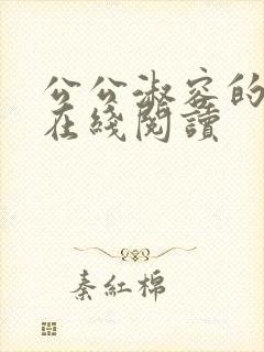 公公淑容的小说在线阅读