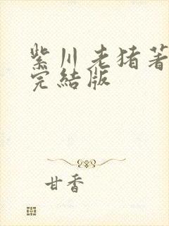 紫川老猪著精校完结版