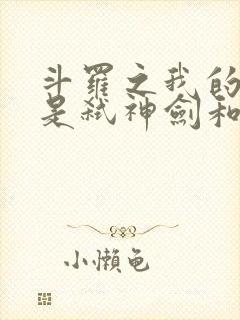 斗罗之我的武魂是弑神剑和火麒麟 小说