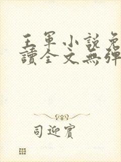 王军小说免费阅读全文无弹窗