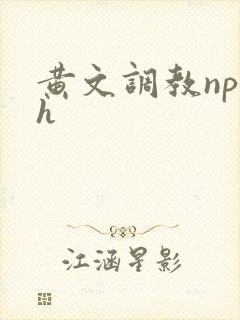 黄文调教np高h