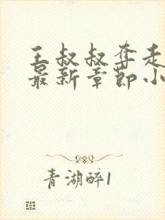 王叔叔夺走妈妈最新章节小说