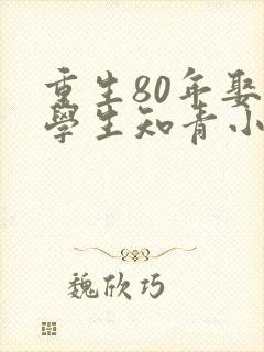 重生80年娶大学生知青小说