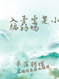 入青云是小说改编的吗