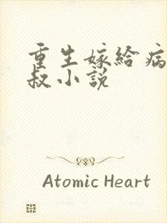 重生嫁给病娇皇叔小说