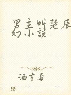 男主叫楚辰的玄幻小说