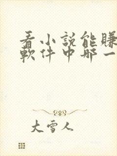 看小说能赚钱的软件中哪一个最好?