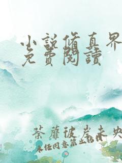 小说修真界败类免费阅读