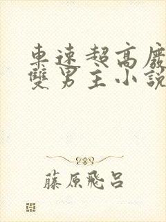 车速超高废文的双男主小说推荐完结