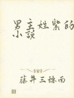 男主姓紫的玄幻小说