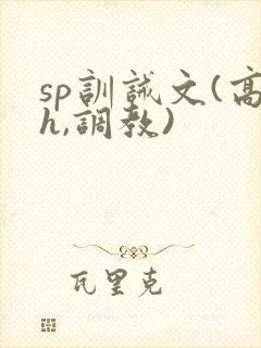 sp训诫文(高h,调教)