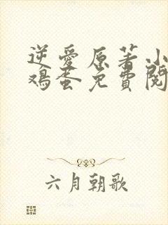 逆爱原著小说柴鸡蛋免费阅读