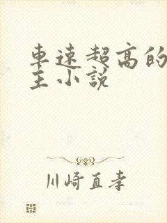 车速超高的双男主小说