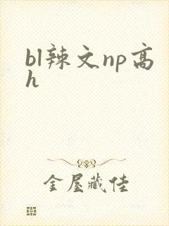 bl辣文np高h
