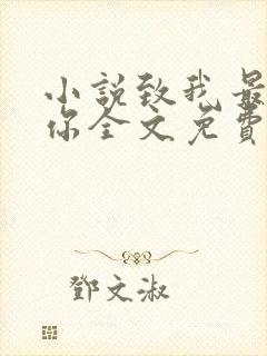 小说致我最爱的你全文免费阅读