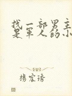 找一部男主姓叶是军人的小说