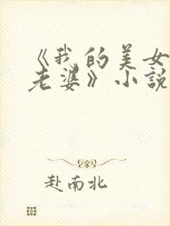 《我的美女总裁老婆》小说